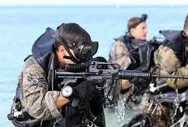 combat diver